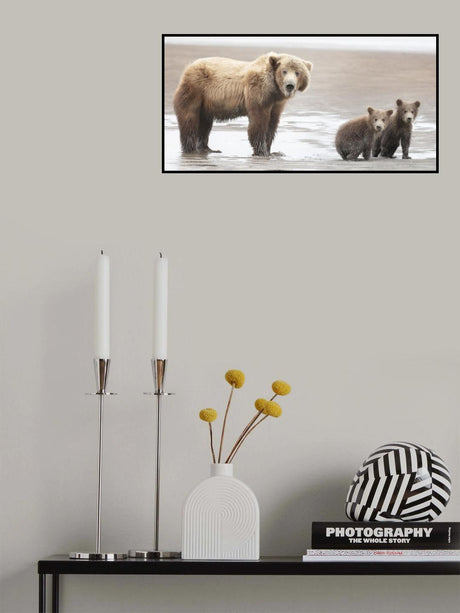 Momma Bear and Cubs Poster och Canvastavla