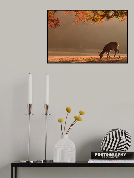 First Autumn Poster och Canvastavla
