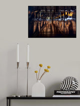 Through the illusion Poster och Canvastavla