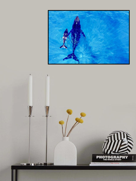 Discover the world Poster och Canvastavla