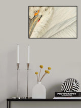 Eye to eye Poster och Canvastavla