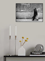 winter passengers Poster och Canvastavla