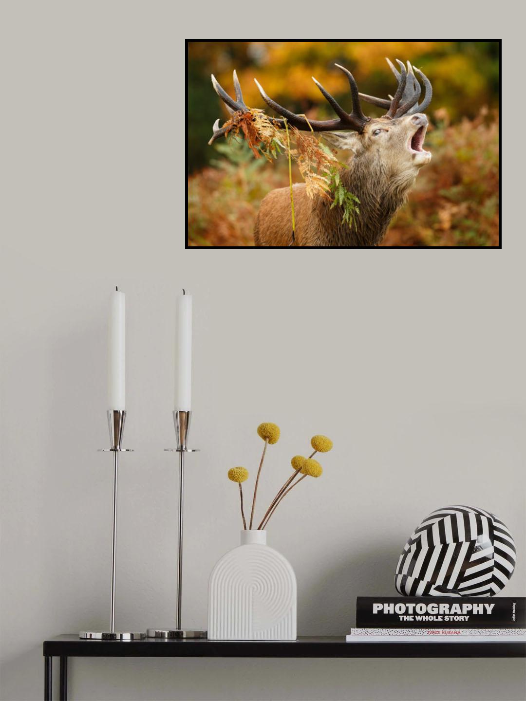 The rut Poster och Canvastavla