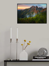 Dead trees at Pico Ruivo at sunrise, Madeira, Portugal Poster och Canvastavla