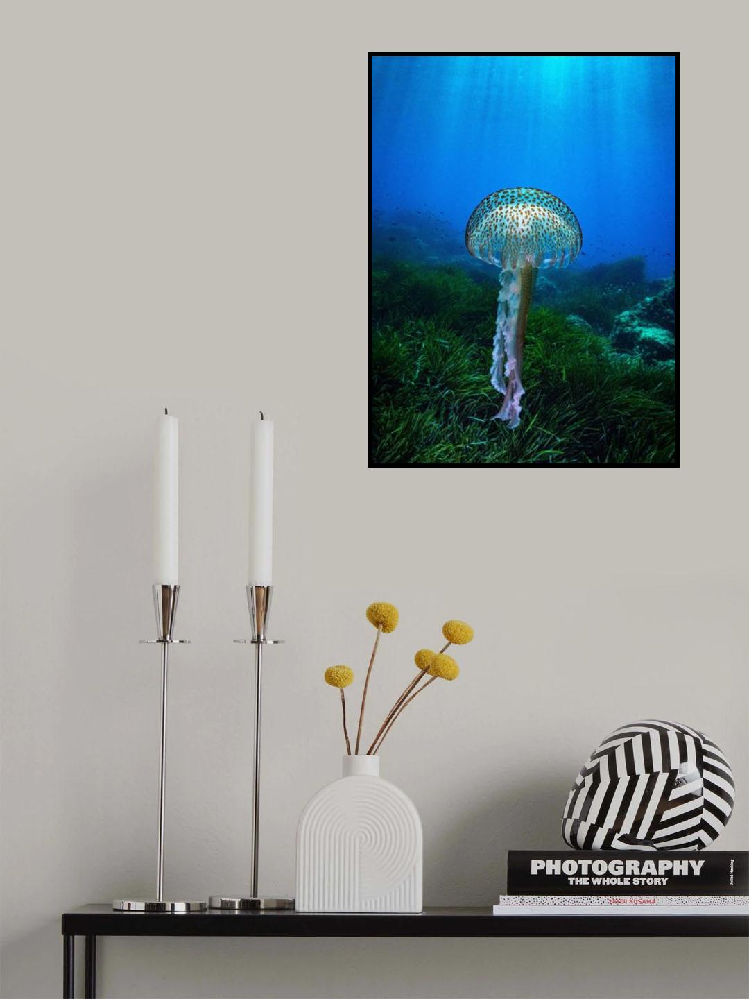 Into the sun Poster och Canvastavla