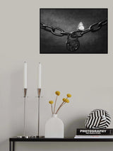 Freedom Poster och Canvastavla