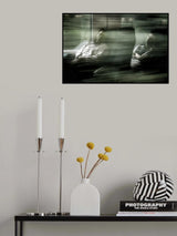 Theme "Opposites" : Speed versus snooze Poster och Canvastavla