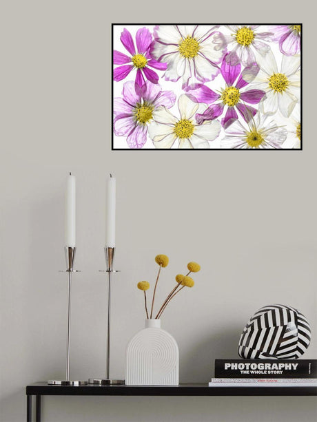 Keeping Summer Poster och Canvastavla