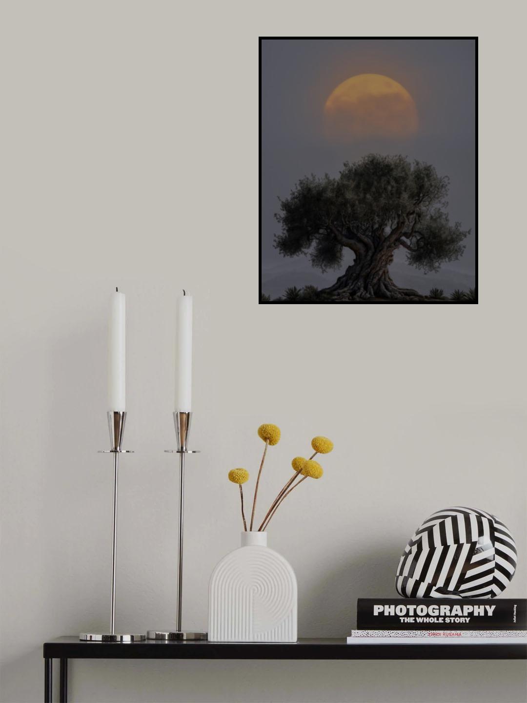 The old olive tree Poster och Canvastavla