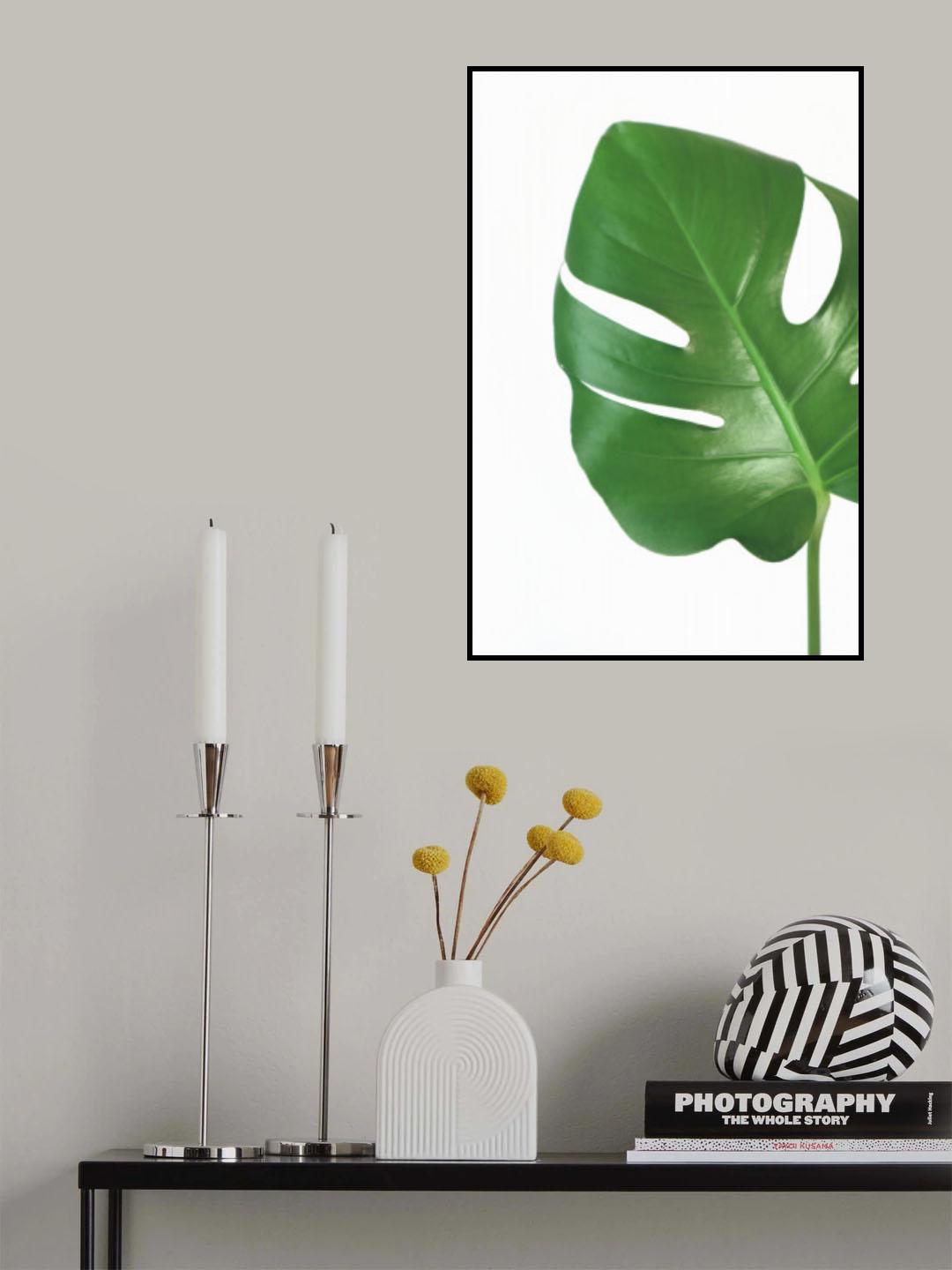 Bright green monstera leaf Poster och Canvastavla