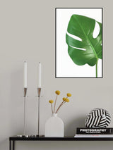 Bright green monstera leaf Poster och Canvastavla