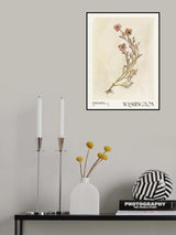 Watercolor print collection. Flower market - Washington Poster och Canvastavla