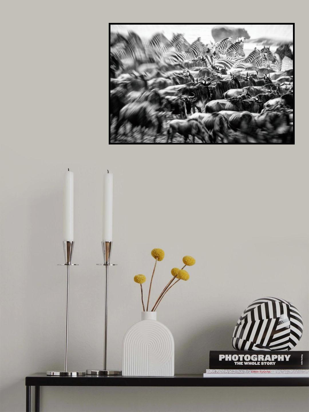 ANARCHY Poster och Canvastavla