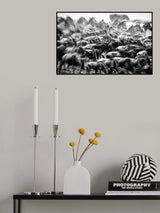 ANARCHY Poster och Canvastavla