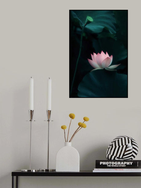 Lotus Flower Poster och Canvastavla