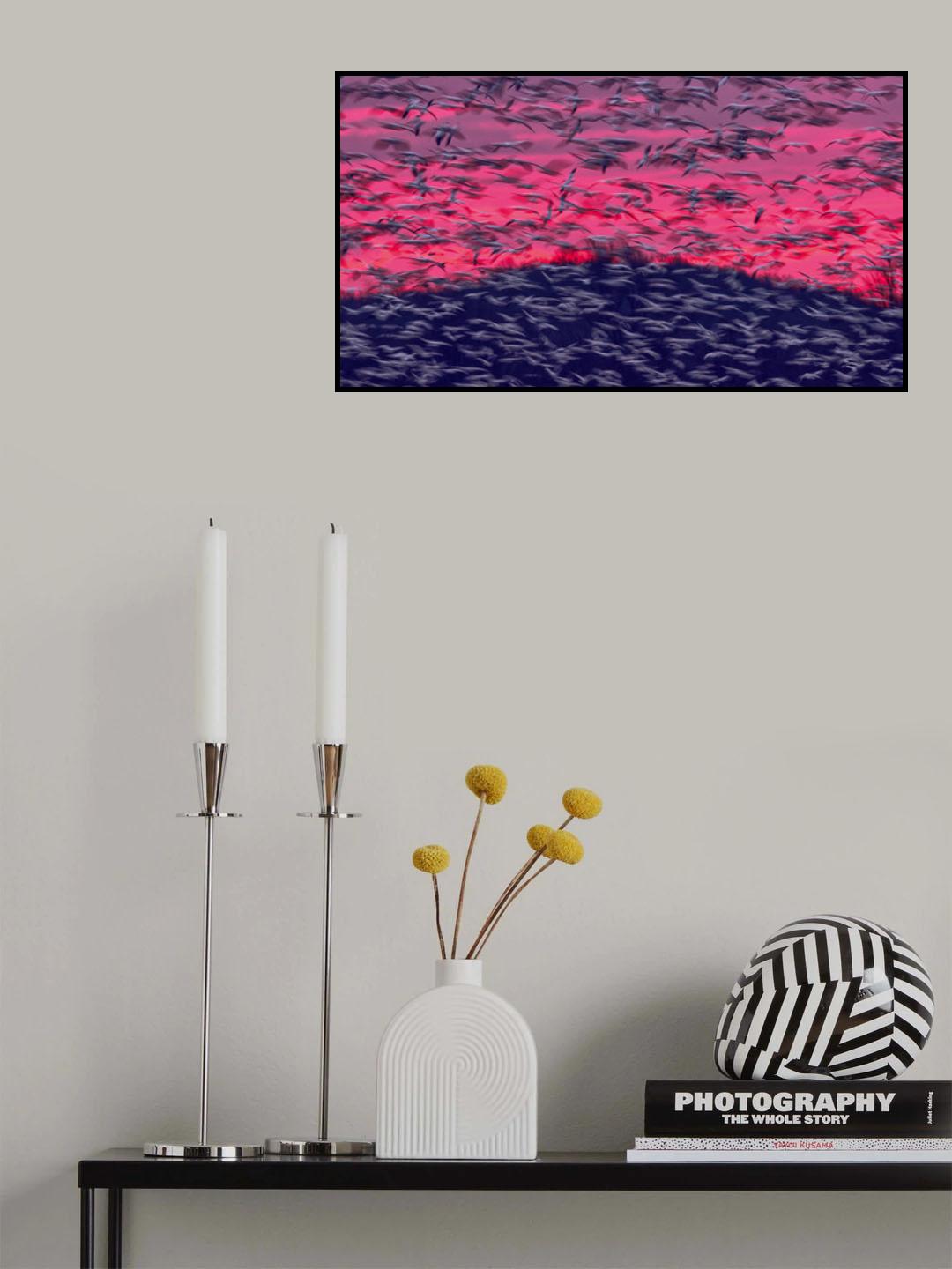 Migrating Snow Geese In Slow Motion Poster och Canvastavla