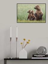 Alert to Their Surroundings Poster och Canvastavla