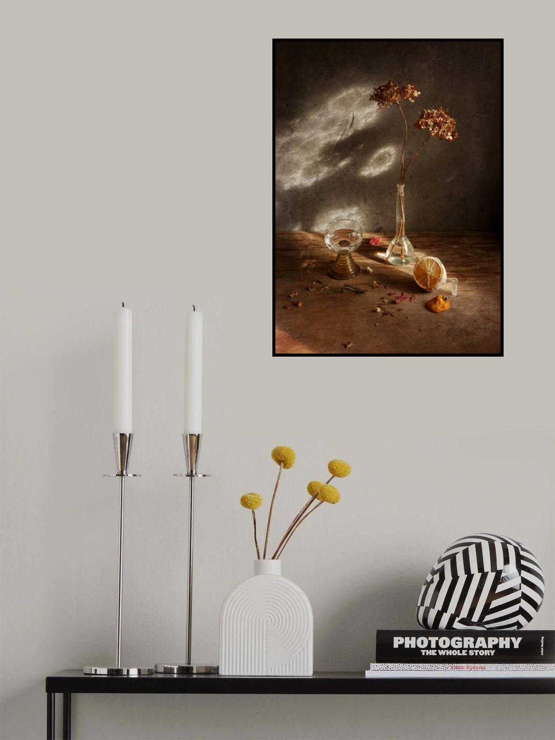 with limoll and hydrangea february light Poster och Canvastavla