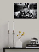 Together Poster och Canvastavla