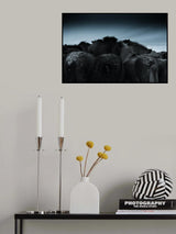 Cold weather Poster och Canvastavla
