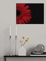 beautiful flower Poster och Canvastavla