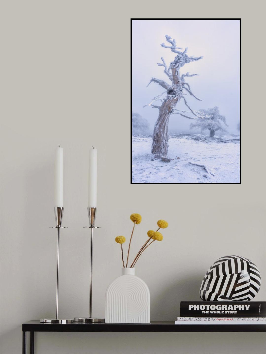 Nieve en el sur de España Poster och Canvastavla