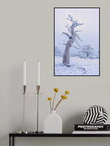 Nieve en el sur de España Poster och Canvastavla