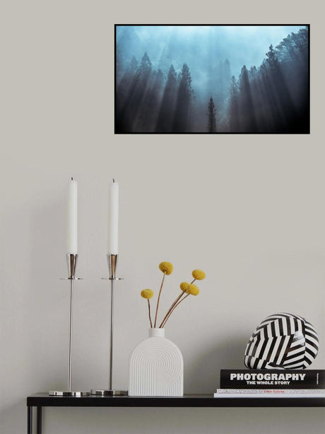 Light to be believed likely Poster och Canvastavla