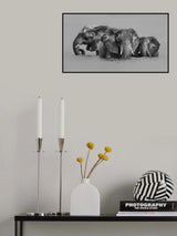 Elephant Crossing The River Poster och Canvastavla