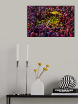 Shomaj in Holi Poster och Canvastavla