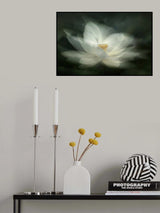 Swaying Poster och Canvastavla