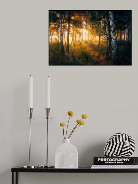 Gold in the forest Poster och Canvastavla