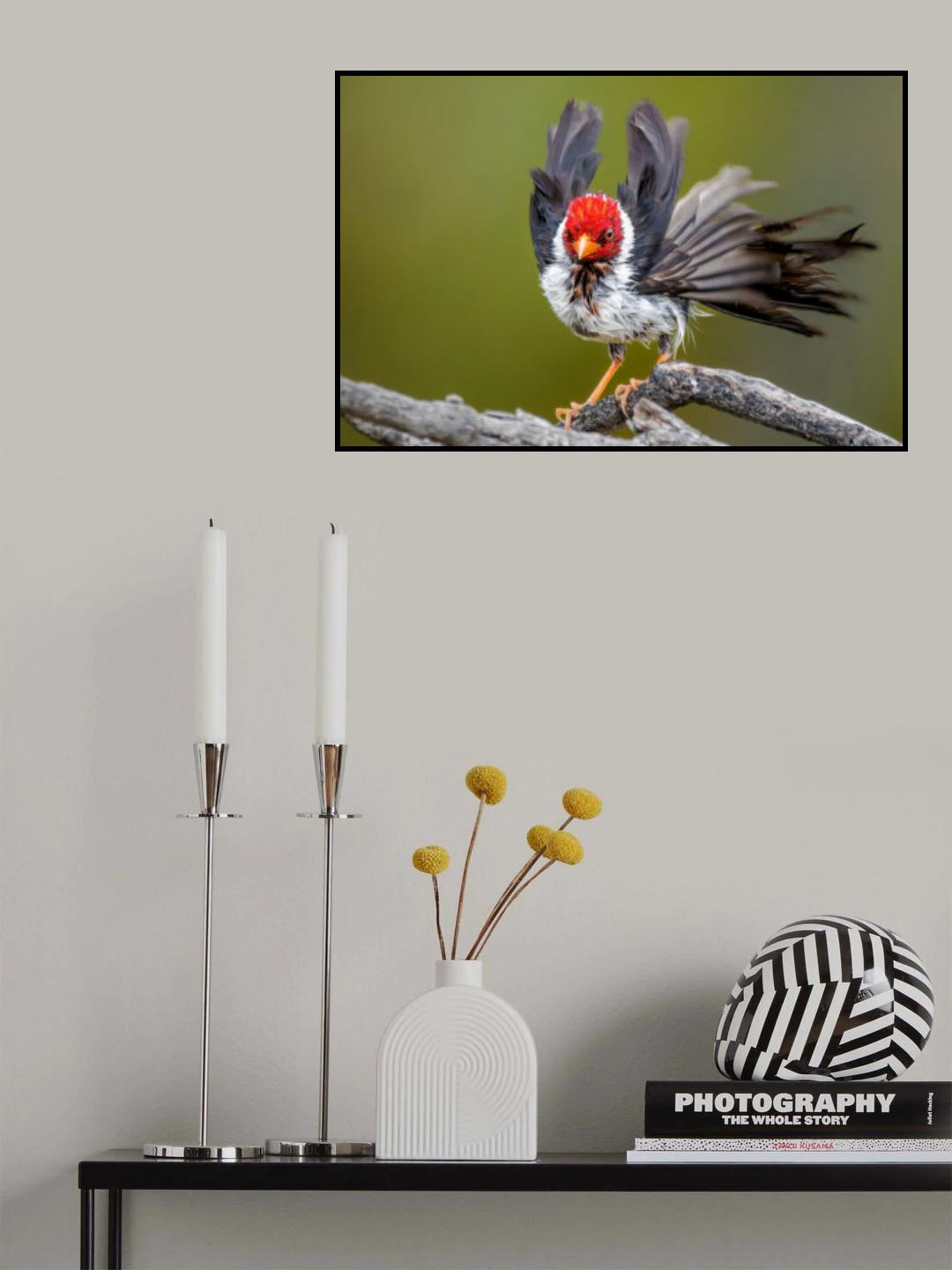 Dancing with the wind Poster och Canvastavla