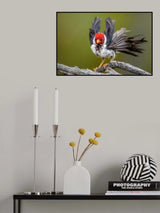 Dancing with the wind Poster och Canvastavla