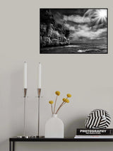 I believe I can fly Poster och Canvastavla