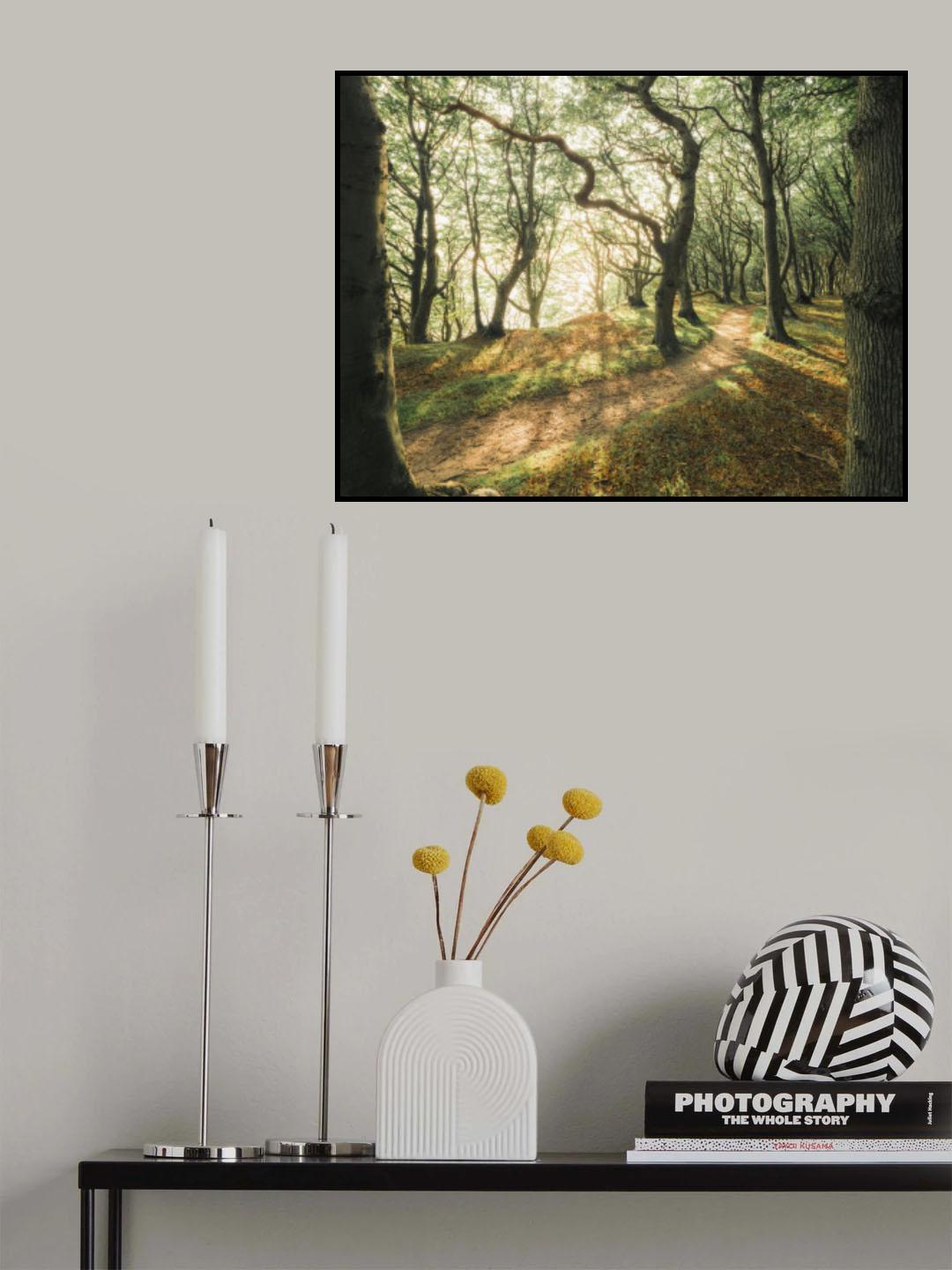 Magic Beech Wood Poster och Canvastavla