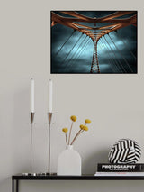 whale skeleton Poster och Canvastavla
