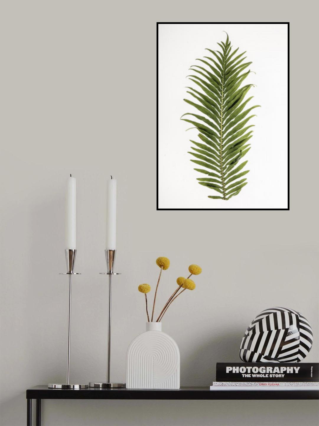 Leaf Study 01 Poster och Canvastavla