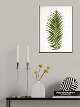 Leaf Study 01 Poster och Canvastavla