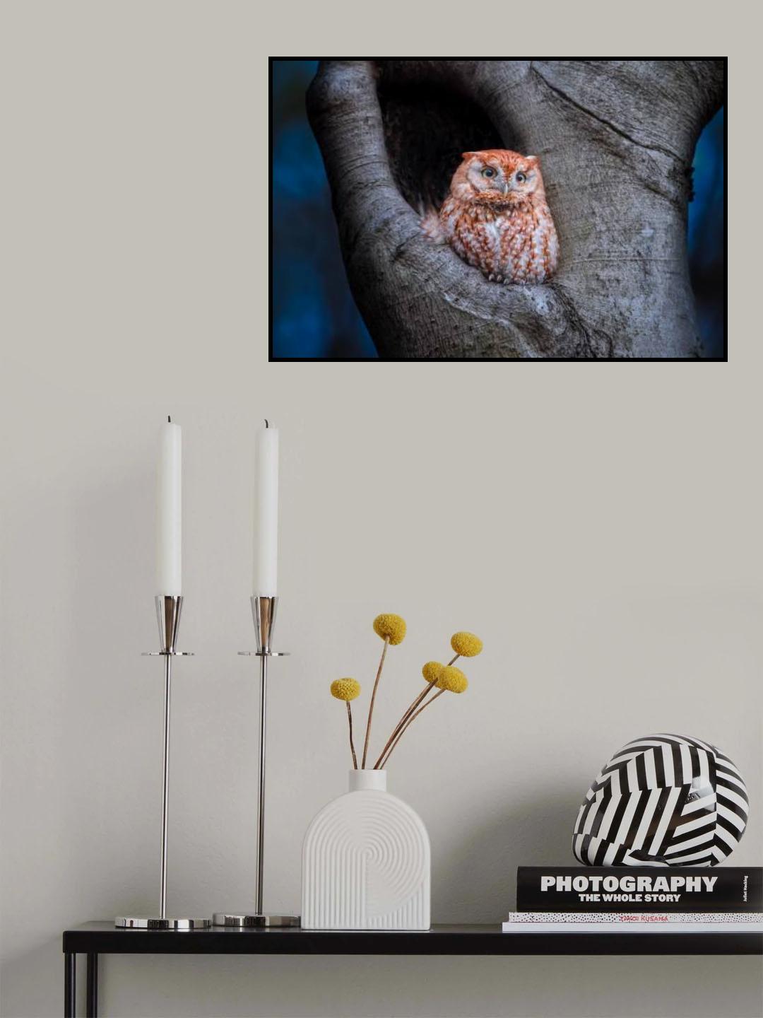Eastern Screech Owl (Red Morph) Poster och Canvastavla