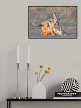 Fighting Poster och Canvastavla