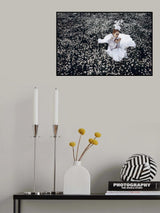 White butterfly Poster och Canvastavla
