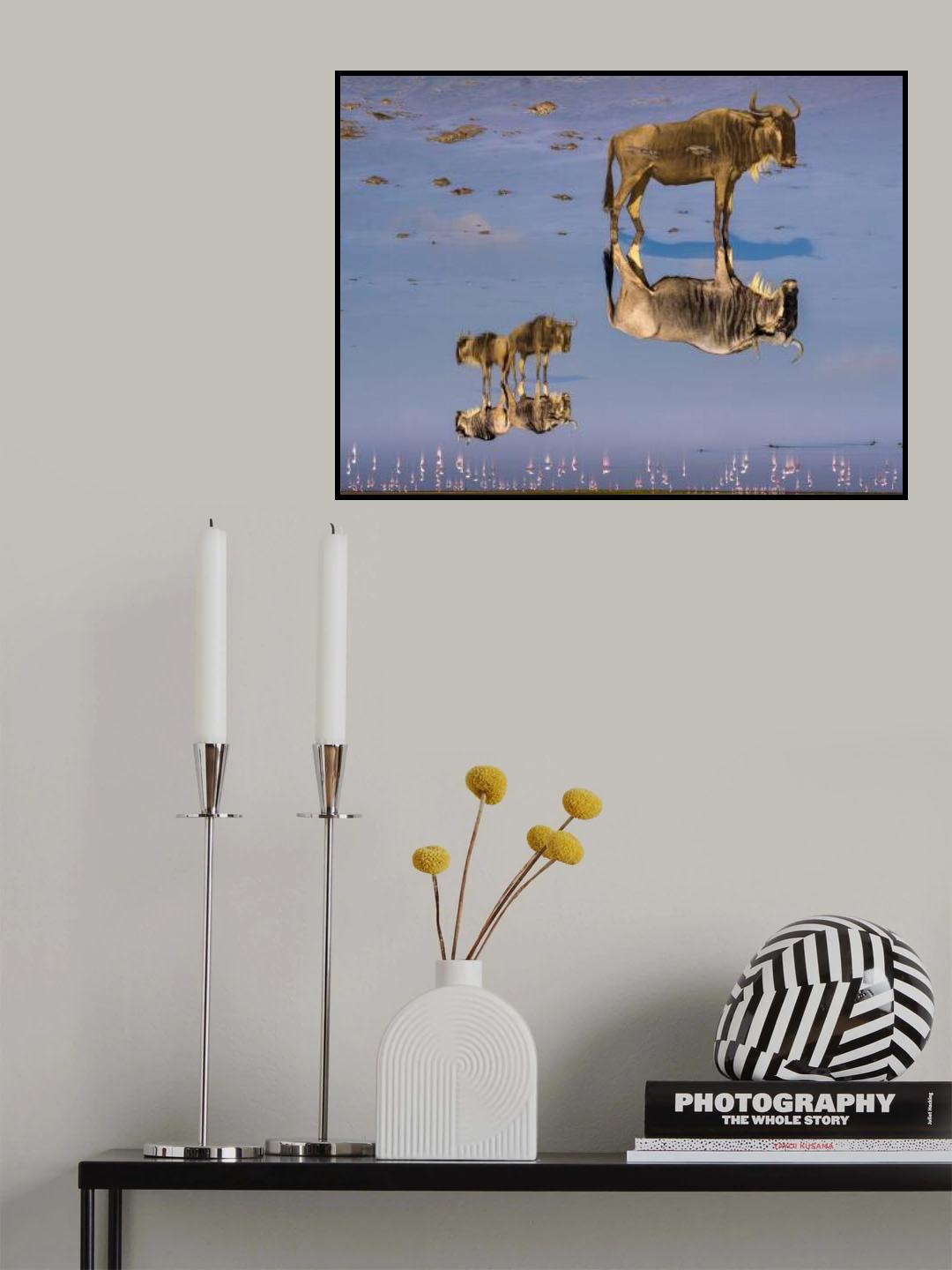 Upside down we go Poster och Canvastavla