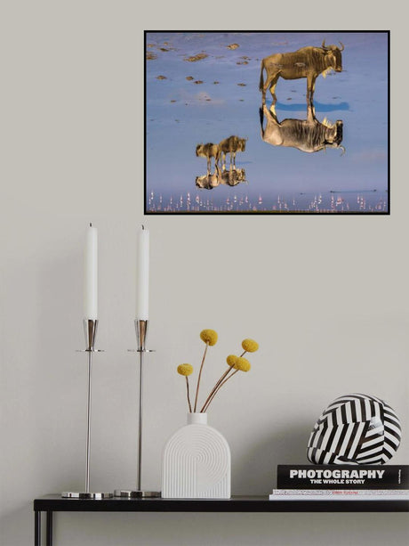 Upside down we go Poster och Canvastavla