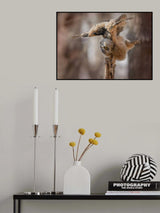 Balance practice Poster och Canvastavla