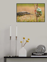 Catch Me If You Can Poster och Canvastavla