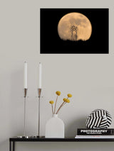 Look at the moon! Poster och Canvastavla