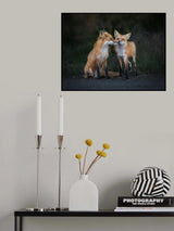 Only You In My Eyes Poster och Canvastavla