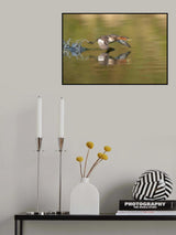 Poster och Canvastavla