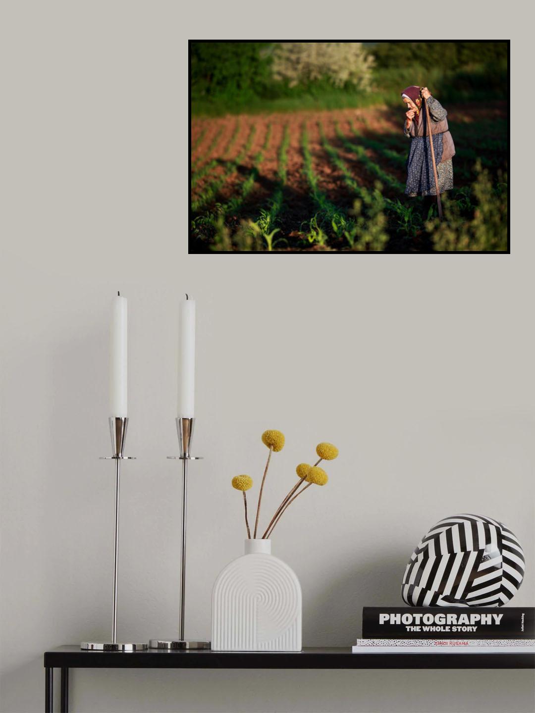 The Shadows of Forgoten Ancestors Poster och Canvastavla